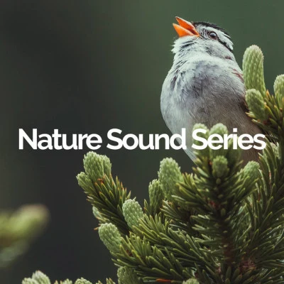 歌手 Nature Sound SeriesRelajacion ConjuntoRelaxation – Ambient