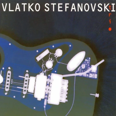 Vlatko Stefanovski Trio 歌手