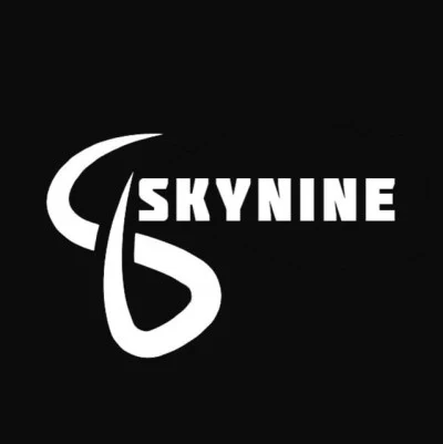 SkyNine 歌手