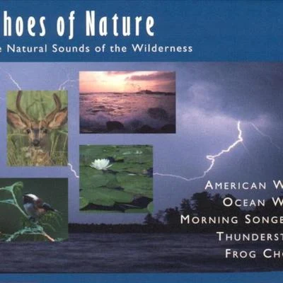 歌手 Echoes Of NatureSoothing SoundsRest & Relax Nature Sounds Artists