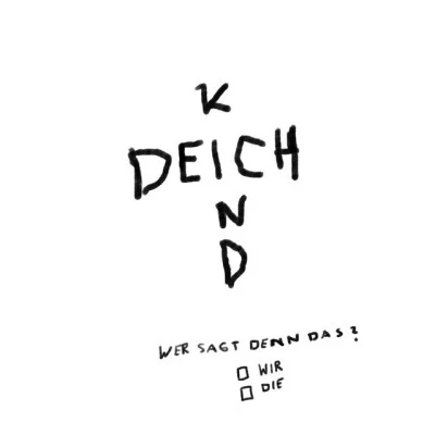 歌手 Deichkind