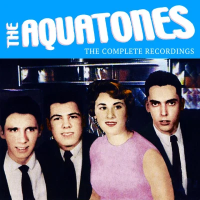 歌手 The Aquatones