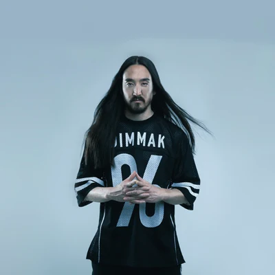 Steve Aoki 歌手