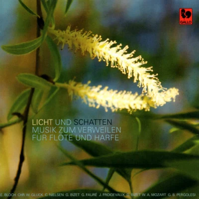 Ruth Jahnke/Marcel Tournier Licht und Schatten