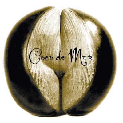 歌手 Coco De Mer