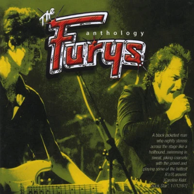 歌手 The Furys