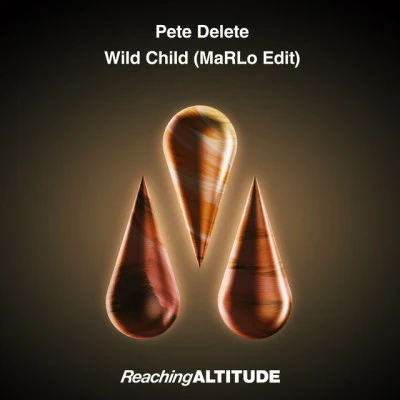 Pete Delete 歌手