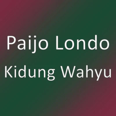 Paijo Londo 歌手