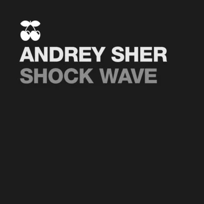 Andrey SHER 歌手