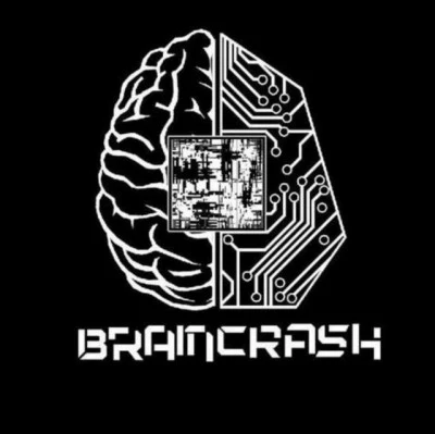 歌手 Braincrash