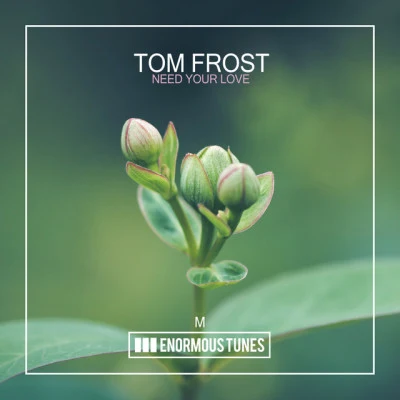 歌手 Tom Frost