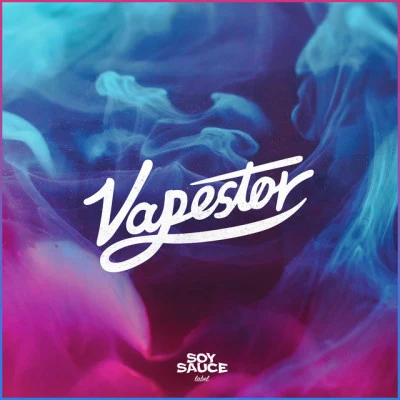 歌手 Vapestor