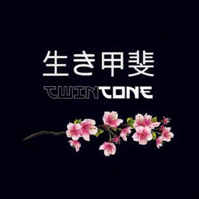 歌手 Twintone