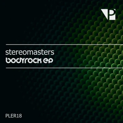 歌手 Stereomasters