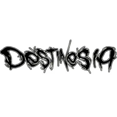 歌手 Destinesia