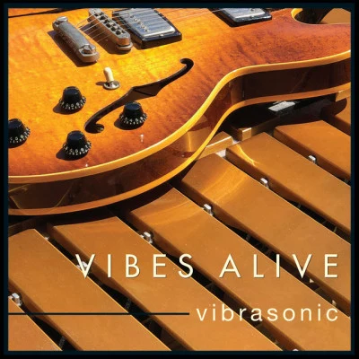 Vibes Alive 歌手