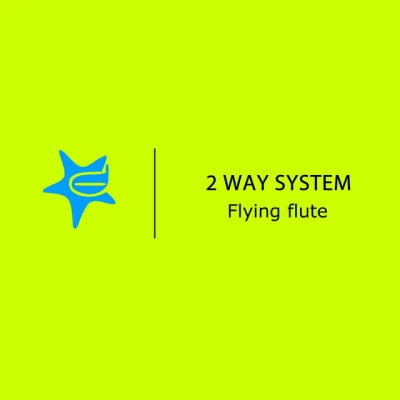 歌手 2 Way System