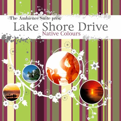 歌手 Lake Shore Drive