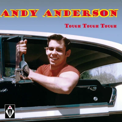 Andy Anderson 歌手