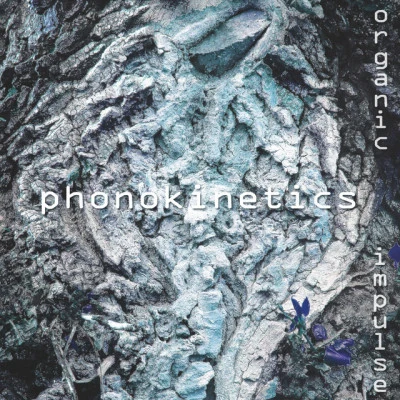 歌手 Phonokinetics