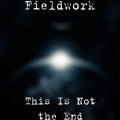 Fieldwork 歌手