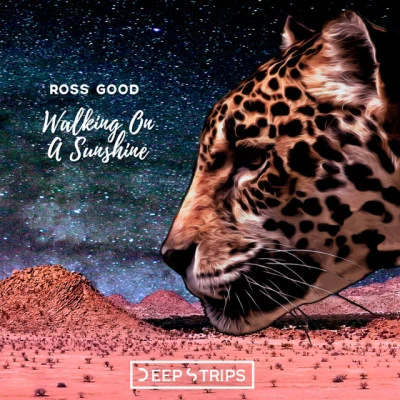 歌手 Ross Good