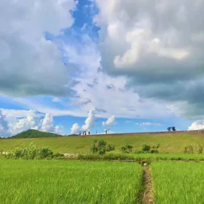 青雲 歌手