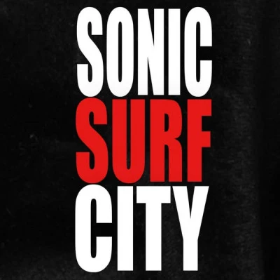 歌手 Sonic Surf City