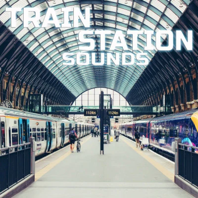 Train Station Sounds/Universal Soundscapes/Universal White Noise Soundscapes/Universal Nature Soundscapes/Meditation Therapy train station sounds (feat. deep sleep collection, universal nature soundscapes, white noise, meditation therapy, deep focus binaural beats sounds CA