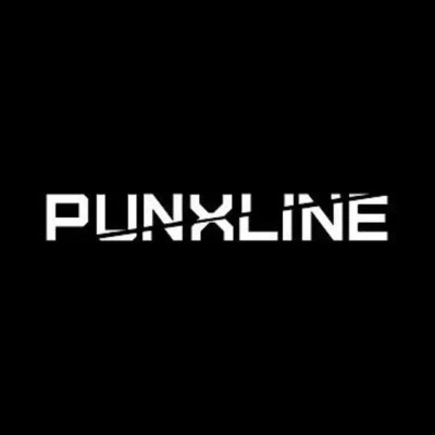 歌手 Punxline