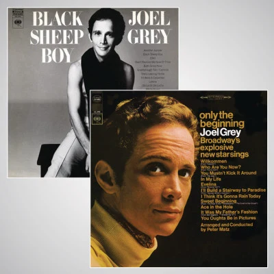 Joel Grey 歌手