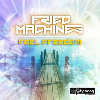 歌手 Fried Machines