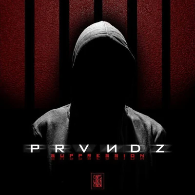 歌手 PRVNDZMagMag