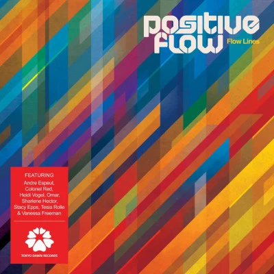 歌手 Positive Flow