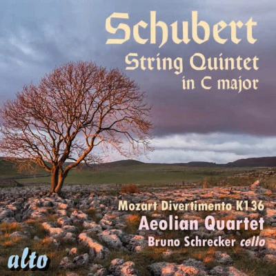 Bruno Schrecker/The Allegri String Quartet/Patrick Ireland/David Roth/Jack Brymer Vesperae solennes de confessore in C, K.339