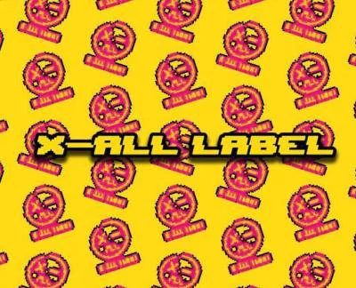 歌手 X-ALL Label朝三.淮河意识流