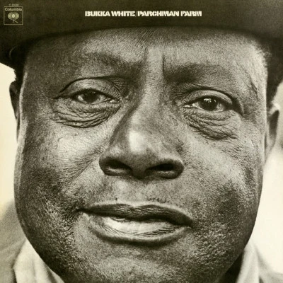 歌手 Bukka White