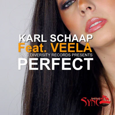 Karl Schaap feat. Veela 歌手