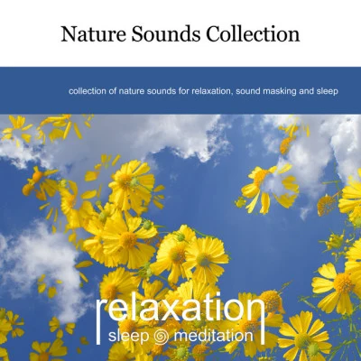 歌手 Relaxation Sleep MeditationRelaxing Sleep SoundMeditation Music Club