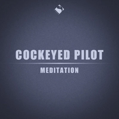 歌手 Cockeyed Pilot