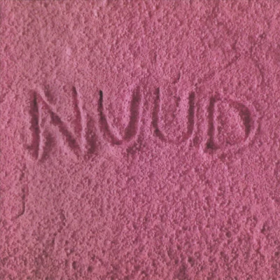 Nuud 歌手