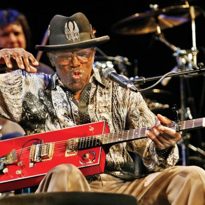 Bo Diddley 歌手