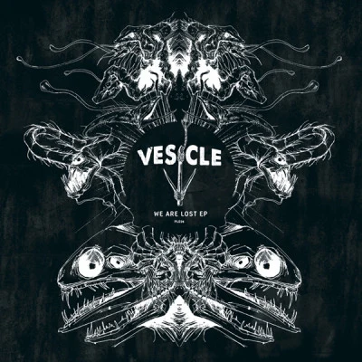 歌手 Vesicle