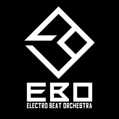 歌手 Electro Beat Orchestra