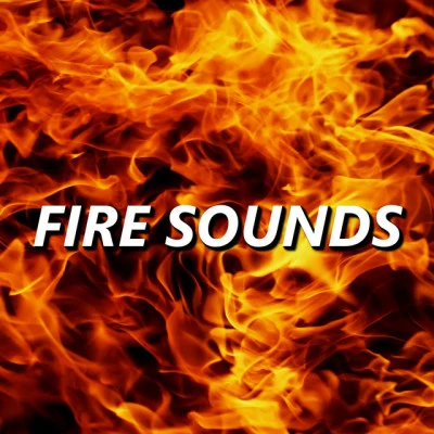 Fire Sounds 歌手