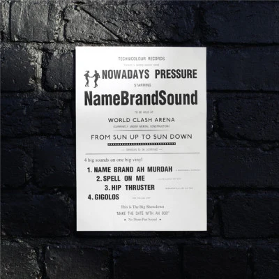 NameBrandSound 歌手