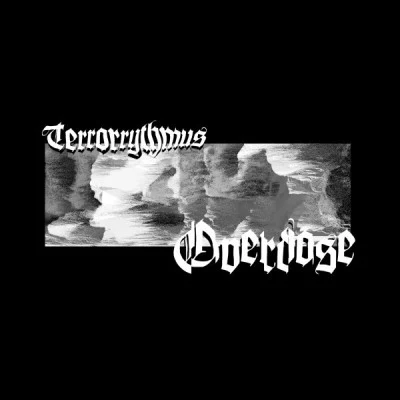 Terrorrythmus 歌手