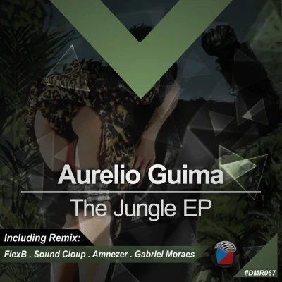 Aurelio Guima The Jungle EP