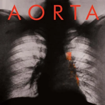 Aorta 歌手