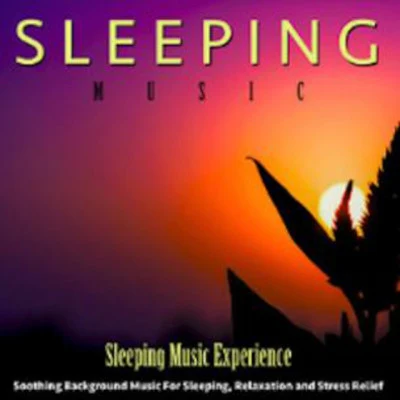 歌手 Sleeping Music ExperienceRain Sounds SleepSleep Waves